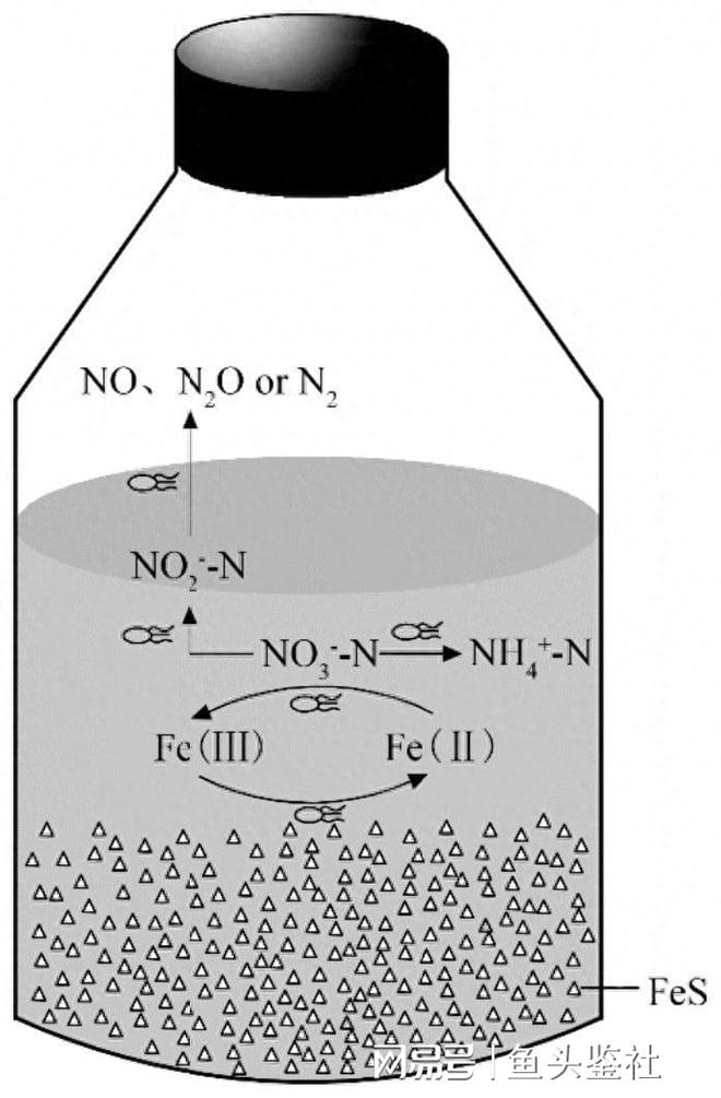 淹没式生物膜活性污泥复合工艺在污水处理中如何提高脱氮效率(图4)