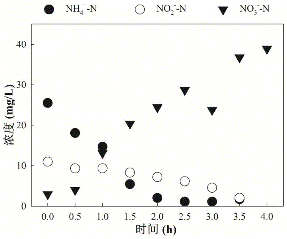 淹没式生物膜活性污泥复合工艺在污水处理中如何提高脱氮效率(图7)
