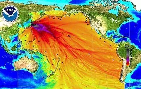 日本倒核废水危害世界大连小伙画“变异浮世绘”怒怼网友：赞(图2)